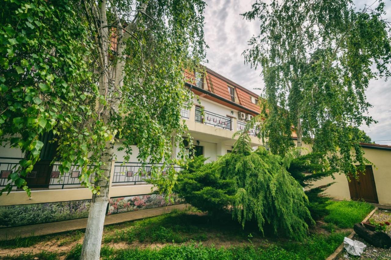 Hotel Amurg Eforie Sud  Ngoại thất bức ảnh